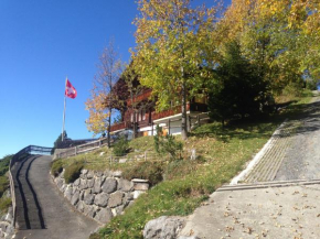 Chalet - Haus Ahorn Ost, Wasserwendi